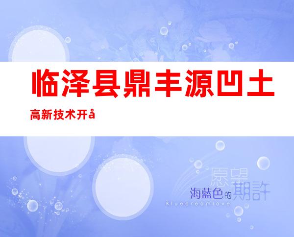 临泽县鼎丰源凹土高新技术开发有限公司