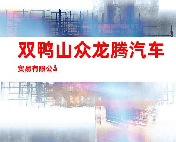 双鸭山众龙腾汽车贸易有限公司