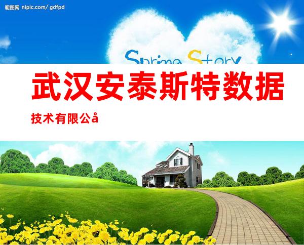 武汉安泰斯特数据技术有限公司