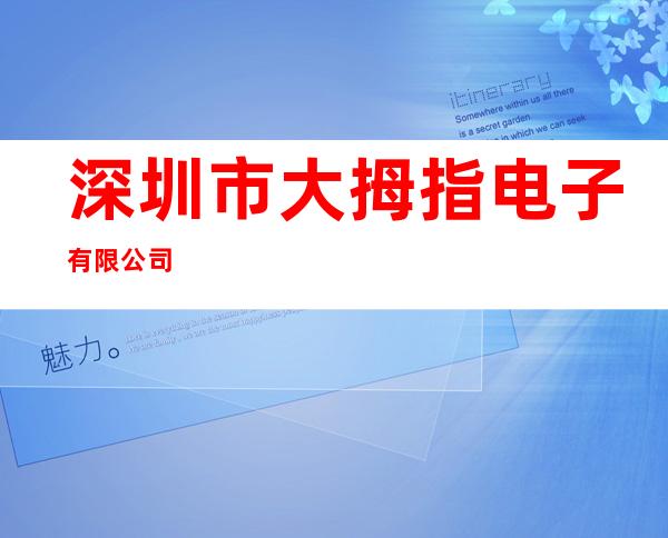 深圳市大拇指电子有限公司