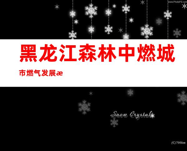 黑龙江森林中燃城市燃气发展有限公司桦南分公司